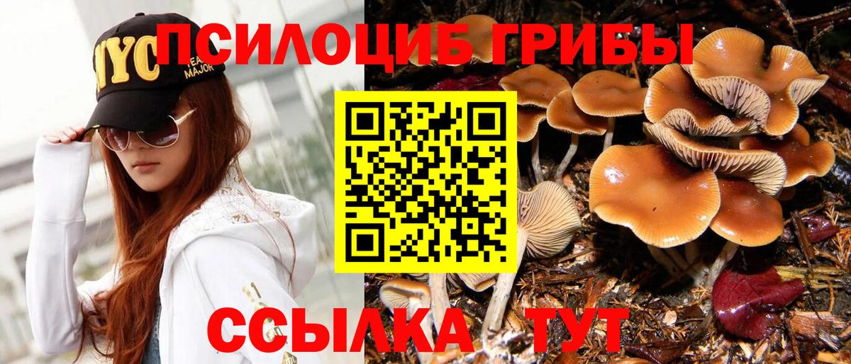 Псилоцибиновые грибы Cubensis Александров