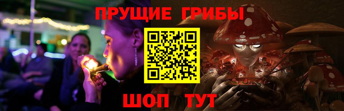 Псилоцибиновые грибы Psilocybine cubensis  Вход с VPN  продажа наркотиков  Александров 